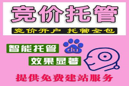 成功案例：如何通过百度推广优化提高转化率